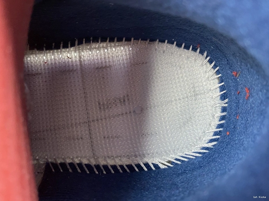 Blue Retro  Jordan 854262-106 (2016) True 3  0201